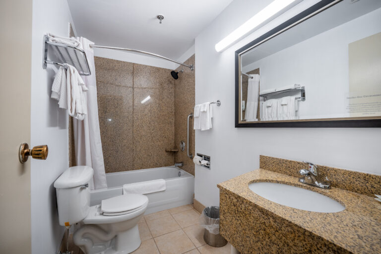 Business Suite Bathroom